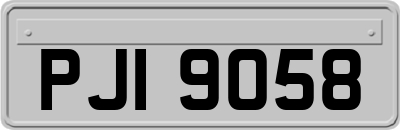 PJI9058