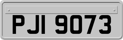 PJI9073