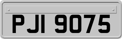 PJI9075