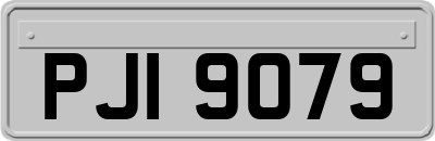 PJI9079