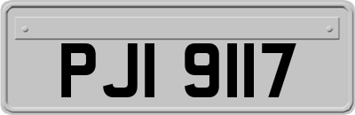 PJI9117