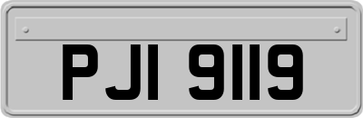 PJI9119