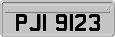 PJI9123