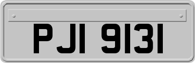 PJI9131