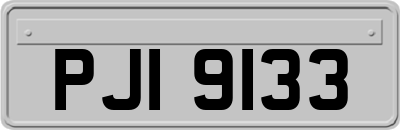 PJI9133