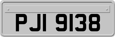 PJI9138