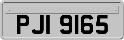 PJI9165
