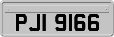 PJI9166
