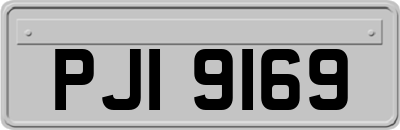 PJI9169