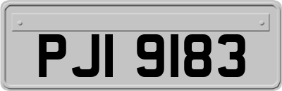 PJI9183
