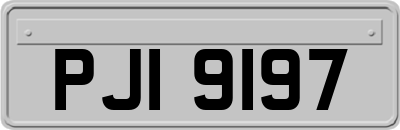 PJI9197