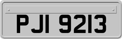 PJI9213