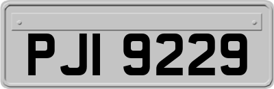PJI9229