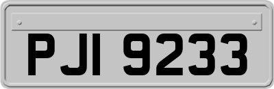 PJI9233