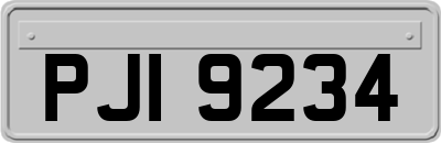 PJI9234