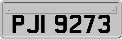 PJI9273