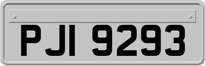 PJI9293