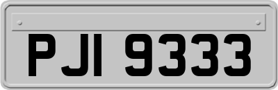 PJI9333