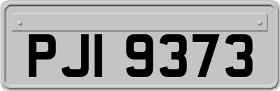 PJI9373