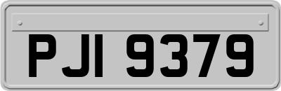 PJI9379