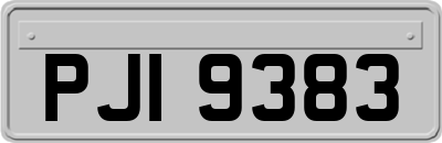 PJI9383
