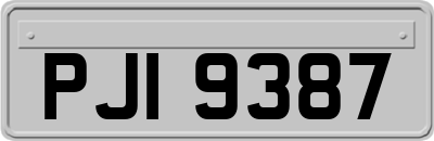 PJI9387