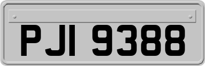 PJI9388