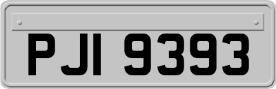 PJI9393