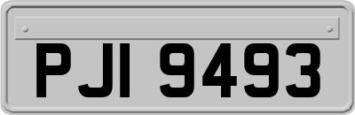 PJI9493
