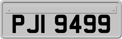 PJI9499