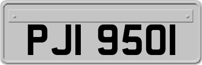 PJI9501