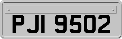 PJI9502