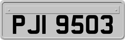 PJI9503