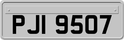 PJI9507