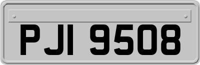 PJI9508