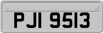 PJI9513