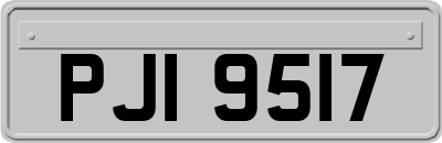 PJI9517