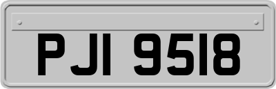 PJI9518