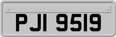 PJI9519