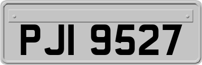 PJI9527