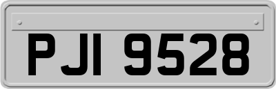 PJI9528