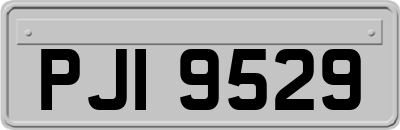 PJI9529