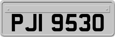 PJI9530