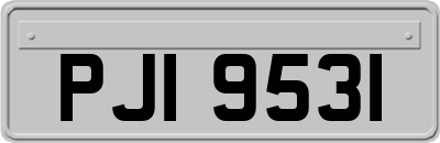 PJI9531