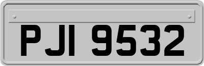 PJI9532