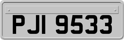 PJI9533