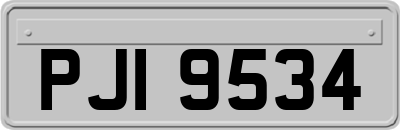PJI9534