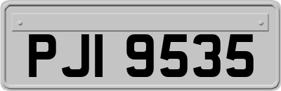 PJI9535
