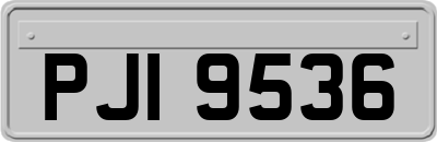 PJI9536