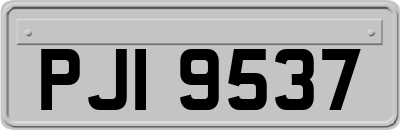 PJI9537